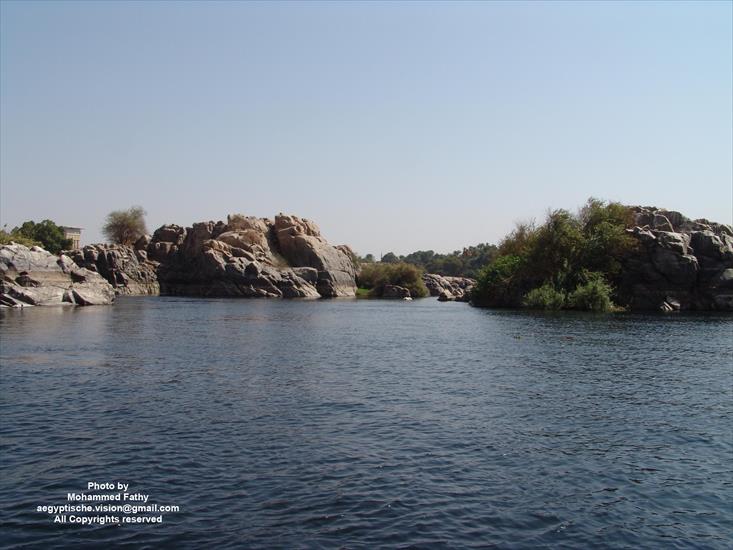 Przyroda - Przyroda w Aswan 81.jpg