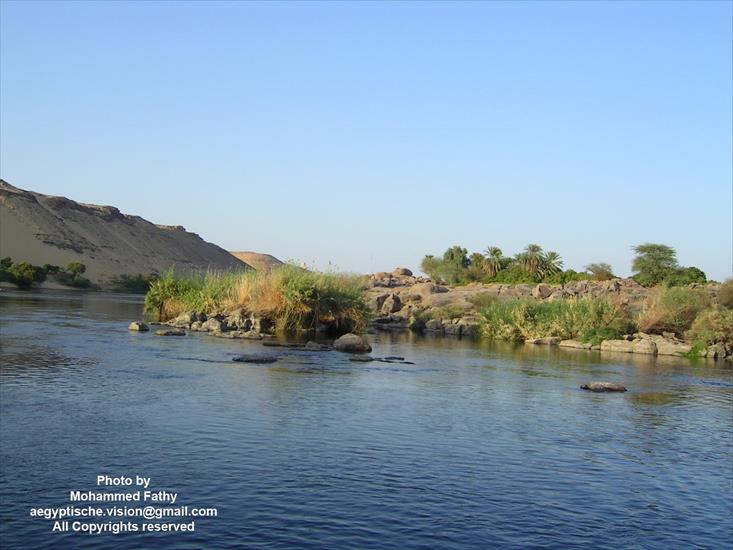 Przyroda - Przyroda w Aswan 472.jpg