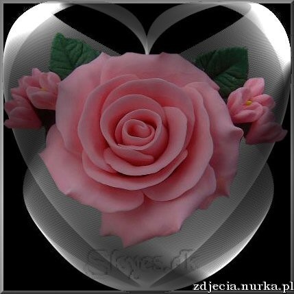Gify-Serduszka - serce roza rozowa w sercu5.jpg