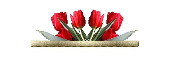 A - linie tulipany - linie-kwiaty-tulipany.gif