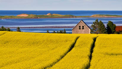 Wyspa Ksiecia Edwarda - Prince Edward Island.jpg